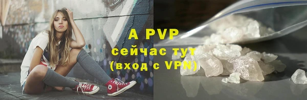 гидропоника Белокуриха