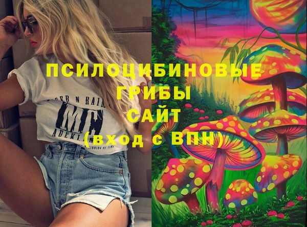 гидропоника Белокуриха