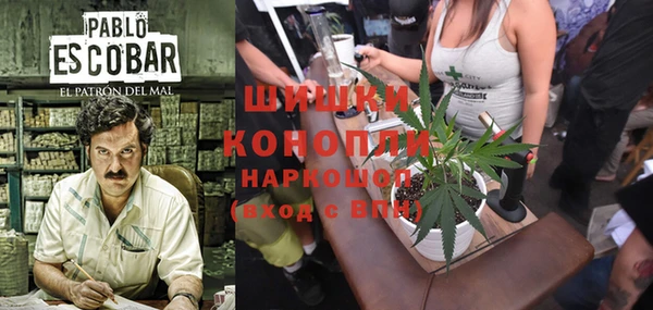 гидропоника Белокуриха