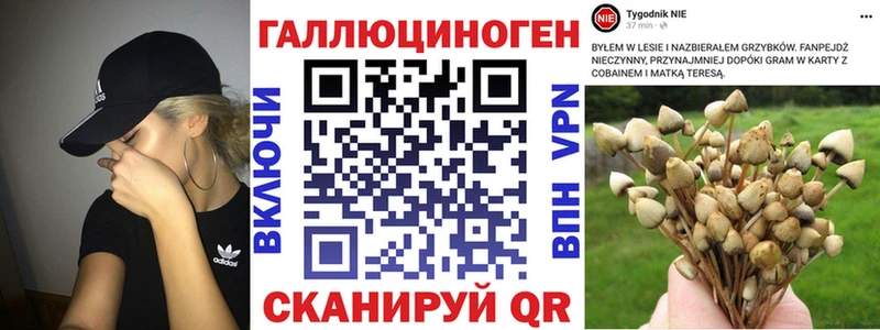 хочу наркоту  Бугуруслан  Галлюциногенные грибы мухоморы 